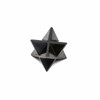 Shungite Merkaba Star Tetrahedron Specimen - 1 piece, approx. 1"