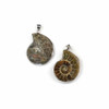Ammonite approx. 25x35mm Pendants with Silver Pewter Bail - 1 pair/2 per bag