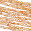 Crystal 3x4mm Opaque Pumpkin Kissed Cream Faceted Rondelle Beads - Approx. 15.5 inch strand