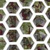 Dragon Blood Jasper 40x45mm Faceted Top Drilled Hexagon Pendant - 1 per bag