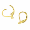 18k Gold Plated Stainless Steel 10x14mm Lever Back Ear Wires - 8 pairs/16 per bag - CTBP030301g