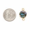 Abalone Paua Shell 10x17mm Tiny Coin Link with Gold Plated Bezel and Loops - 1 piece