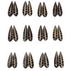 Cherry Tree Beads Fossilized Shell in Resin 8x26mm Top Side Drilled Teardrop Pendant Pair - 2 pieces 