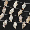 Small Brown Chulla Strombus Conch Shell 13x27mm Top Drilled Beads - 14 inch strand