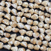 Tan Mother of Pearl 11-12mm Chip Beads - 15 inch strand