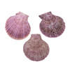 Lavender Purple Scallop Shell 54x70mm Pendant - 1 per bag