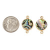 Cherry Tree Beads Abalone Paua Shell approx. 12x19mm Coin Links with Gold Plated Brass Bezel and Loops - 2 per bag 