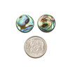 Abalone Paua Shell 14mm Coin Beads - 2 per bag