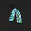 Cherry Tree Beads Abalone Paua Shell approx. 13x38mm Irregular Triangle Pendant Pair - 2 pieces 