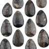 Cherry Tree Beads Black Fossilized Coral approx. 41x65mm Top Front Drilled Teardrop Pendant - 1 per bag 