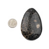 Cherry Tree Beads Black Fossilized Coral approx. 41x65mm Top Front Drilled Teardrop Pendant - 1 per bag 