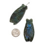 Cherry Tree Beads Blue Labradorite 22x49mm Carved Cicada Pendant - 1 piece 