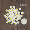 Cherry Tree Beads Glass White Daisy Beads - 15 inch strand 