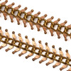 Cherry Tree Beads Brass Fishbone Chain with 2x14 Links - 1 meter 