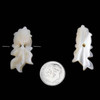 Cherry Tree Beads Shell 13x33mm Fish Focal - 1 per bag 