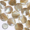Cherry Tree Beads Tan Mother of Pearl 25mm Coin Beads - 15 inch strand 