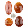 Cherry Tree Beads Fire Agate Designer Focal Mix - 4 per bag  Cherry Tree Beads Fire Agate Designer Focal Mix - 4 per bag
