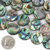 Cherry Tree Beads Abalone Paua Shell 16mm Coin Beads - 8 inch strand 