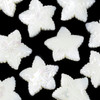 Cherry Tree Beads White Mother of Pearl 24mm Star Bead- 1 per bag 