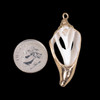 Cherry Tree Beads Luhuanus Shell 16x39mm Slice Pendants with Electroformed Gold Accents - 2 per bag 