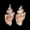 Cherry Tree Beads Chulla Strombus Conch Shell 28x38mm Pendants with Electroformed Gold Accents - 2 per bag 