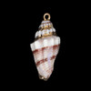 Cherry Tree Beads 15x37mm Cerith Shell Pendant with Gold Accents - 2 per bag 