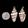 Cherry Tree Beads 15x37mm Cerith Shell Pendant with Gold Accents - 2 per bag 