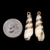 Cherry Tree Beads 6x25mm Natural Striped Cone Shell Pendants with Electroformed Gold Accents - 2 per bag 