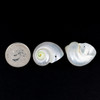 Cherry Tree Beads White Turbo Shell Approx. 17x19mm Pendant - 2 per bag 