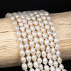 Cherry Tree Beads Freshwater Pearl 7x8mm White Rice Beads - approx. 13.5 inch strand 
