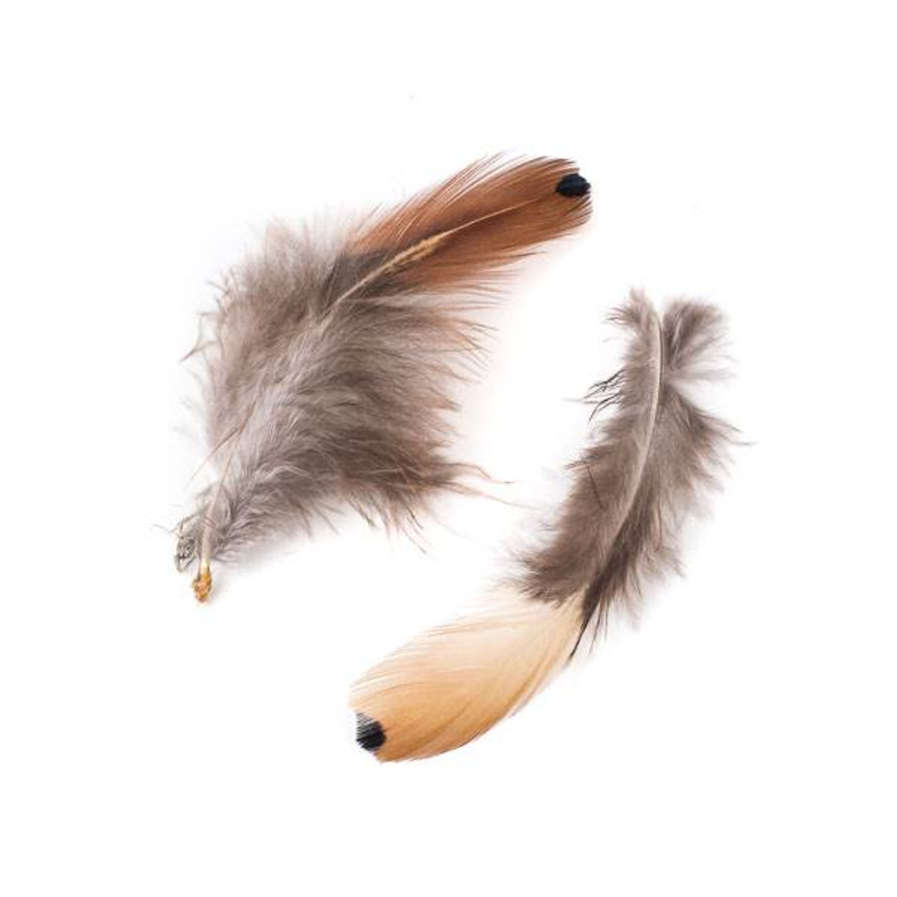 Brown Feathers with Black Dot, 4 inches, 2 pieces - #2-1