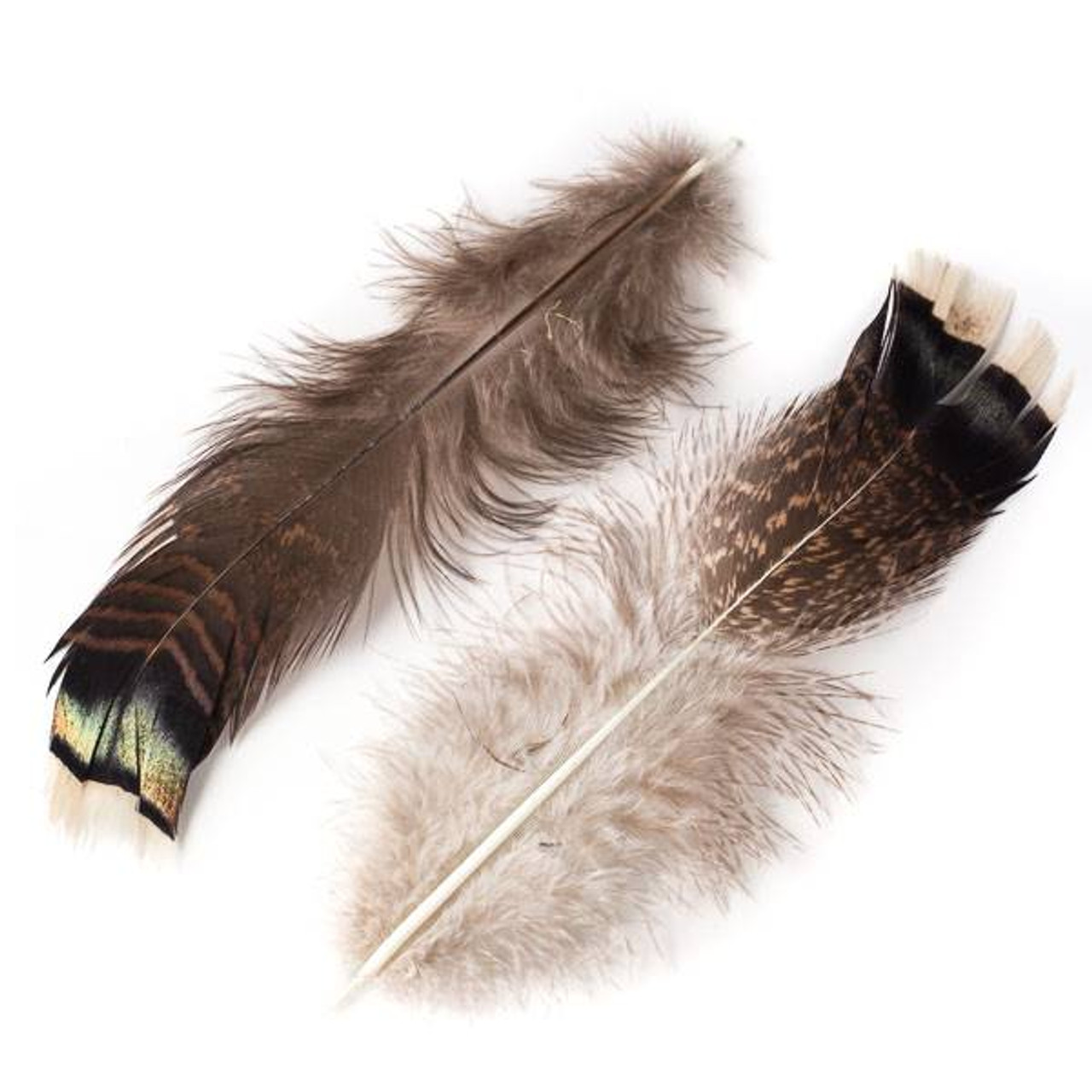 Faux feather, polyester, brown and black, 16 inches with stripes. Sold per  pkg of 10. - Fire Mountain Gems and Beads