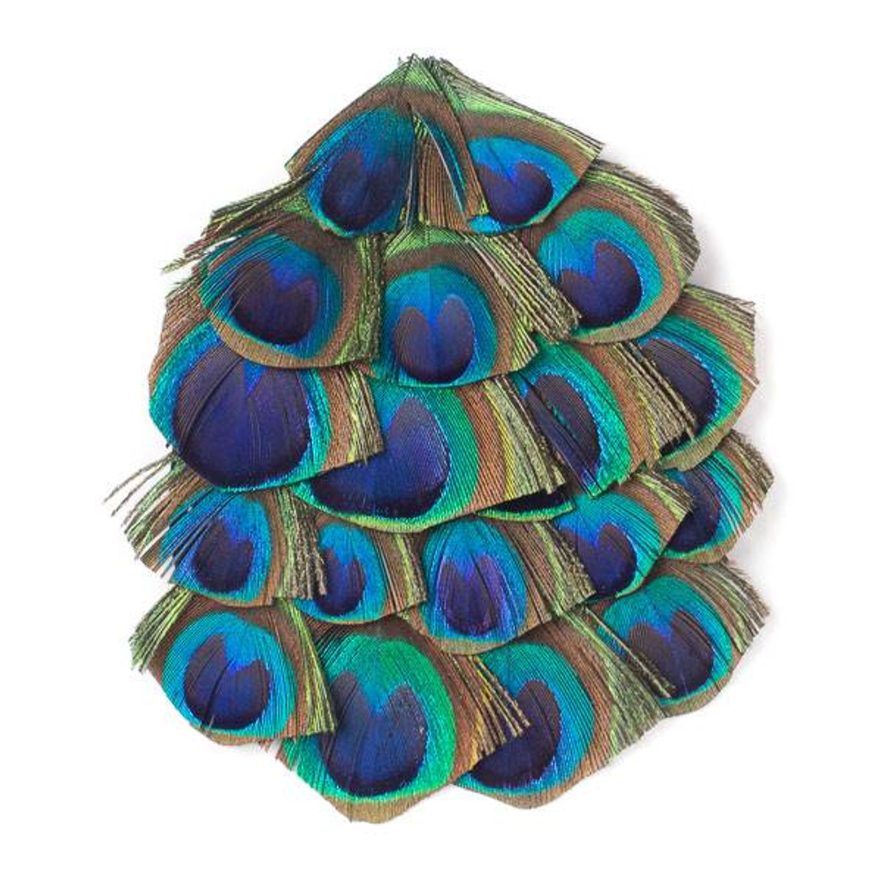 4-6inches DIY Peacock Feather Eyes Earrings Decoration Free