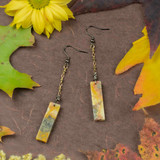 Crazy Lace Agate Dangle Earrings