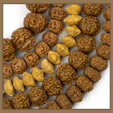 Seed & Wood Beads