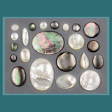 Shell Cabochons