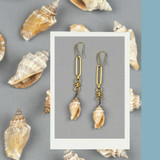 Sea Shell Earrings