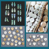 New Shell