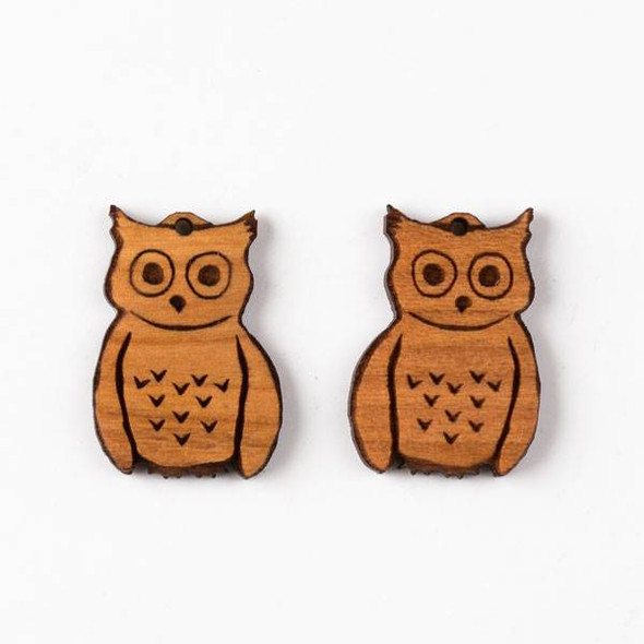 Handmade Wooden 19x20mm Fun Owl Earring Set
