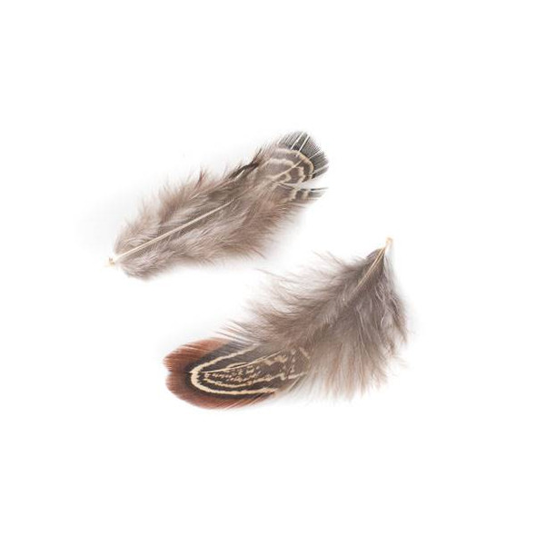 Brown and Tan Feathers, 2.5-3 inches, 2 per bag - #7-1