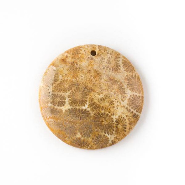 Fossilized Coral 40mm Top Front to Back Drilled Coin Pendant with a Flat Back - 1 per bag