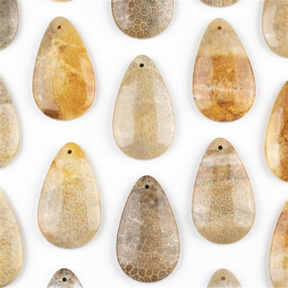 Fossilized Coral 30x50mm Top Front to Back Drilled Teardrop Pendant with a Flat Back - 1 per bag