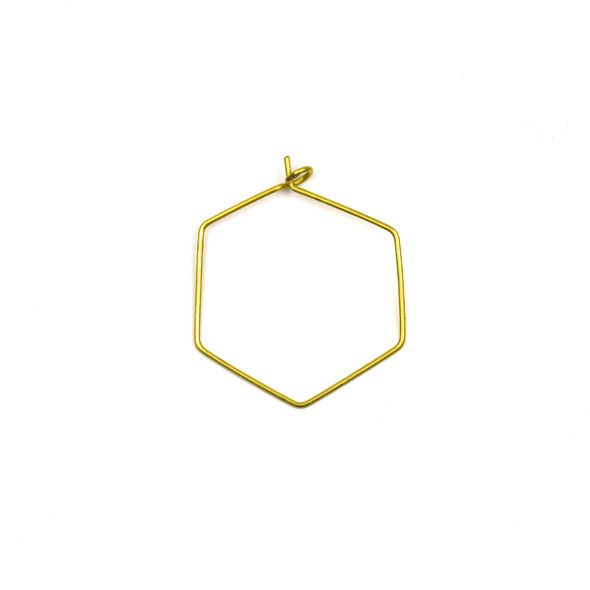 Coated Brass 25x30mm Hexagonal Hoop Ear Wires - 4 pcs per bag - WR00423c