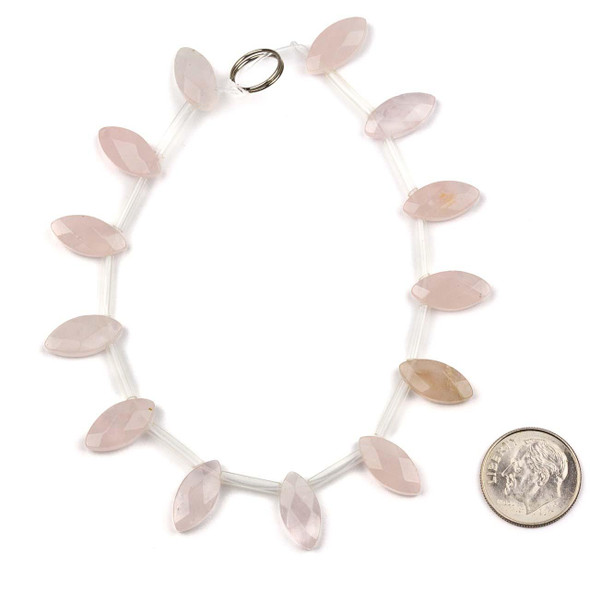 Strand of natural gemstone Rose Quartz 7x14mm top drilled marquise beads displayed with a coin for scale, available from Cherry Tree Beads.