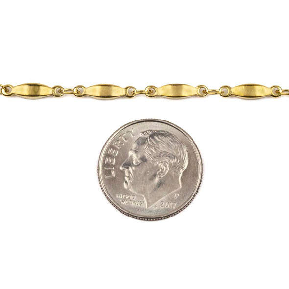 Cherry Tree Beads Stainless Steel Chain with 2.5x3.5mm Small Oval Links alternating with 2.5x10.5mm Bar Links next to a coin for size reference.