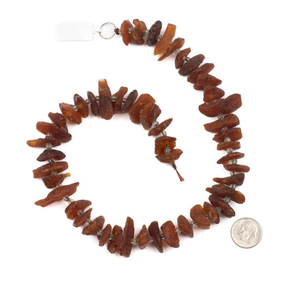 Cherry Tree Beads Amber approx. 12-26mm Chip Beads - 15 inch strand 