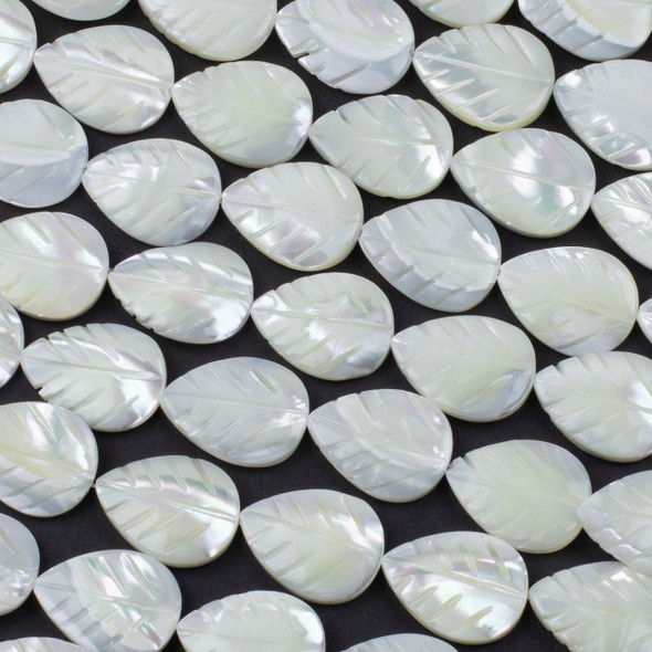 Mother of Pearl 15x20mm White Carved Leaf Beads - 16 inch strand