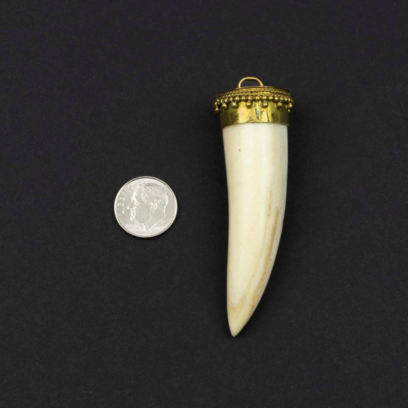 Cherry Tree Beads bone horn pendant approx. 22x72mm with ornate brass cap, 1 per bag.