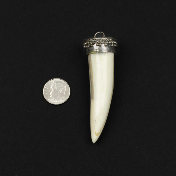 Cherry Tree Beads bone horn-shaped pendant approx. 22x72mm with silver-plated brass cap, 1 per bag.
