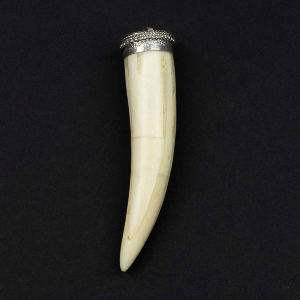 Cherry Tree Beads 22x88mm bone horn-shaped pendant with silver-plated brass cap, 1 piece per bag.